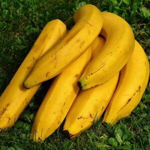 Fresh Bananas 1 Dozen