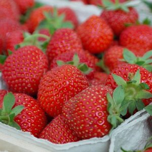 Fresh Strawberries 250g