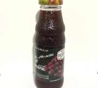 SOLYMARFOOD GRAPE NECTAR BOTTLE 250ML (1 X 24)
