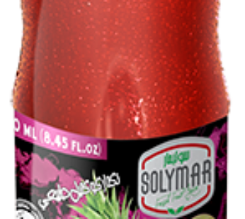 SOLYMARFOOD COCKTAIL NECTAR BOTTLE 250ML (1 X 24)